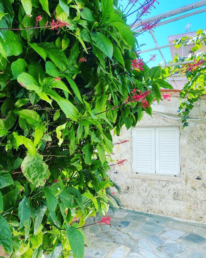 Little Cottage Atenas Exterior foto