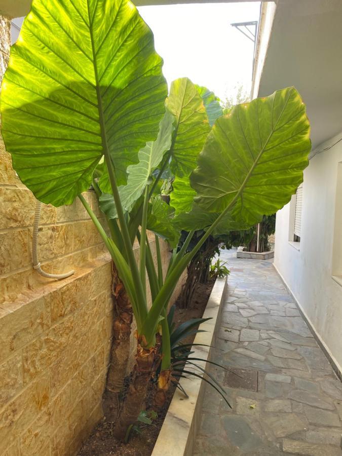 Little Cottage Atenas Exterior foto